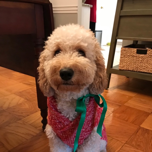 Meet your Posher, Sarah - Picture 1 of 1